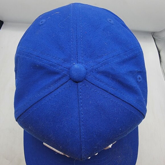 Roots And Budz Blue Snapback Hat The Classics By Yupoong Casual Comfort - Picture 6 of 9